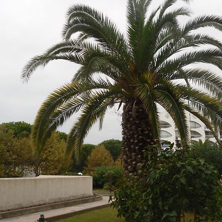 Vittoria Immobilier 9 -Reglement Sur Place - Cheques Vacances Acceptes La Grande Motte Dış mekan fotoğraf